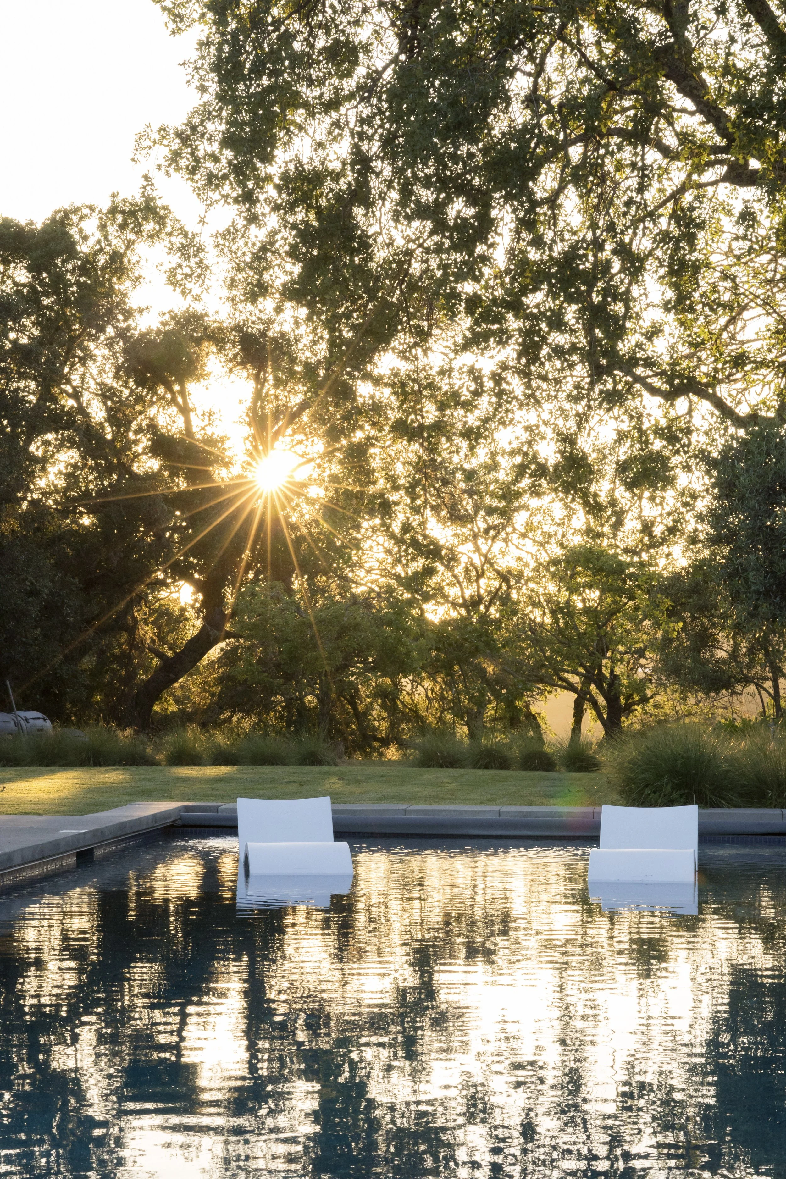 Sun setting behind trees, casting sunlight through branches over a backyard area with a swimming pool and white lounge chairs.