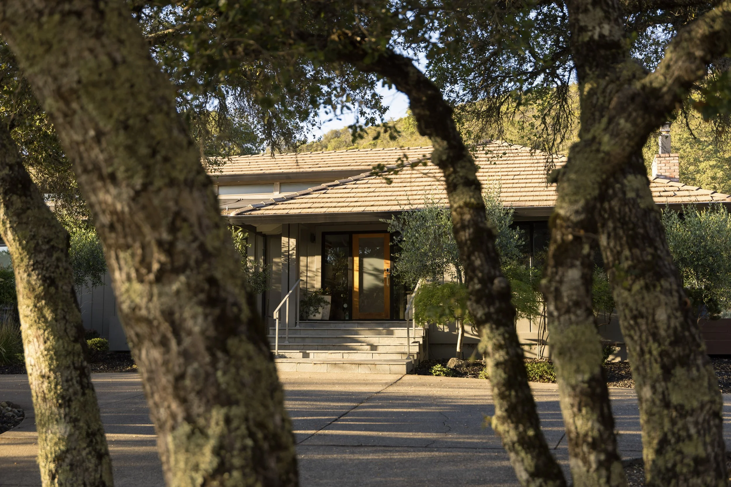A house partially visible through the branches of trees in the foreground, featuring a sloped tiled roof, steps leading to the front door, and surrounded by greenery under clear sky.
