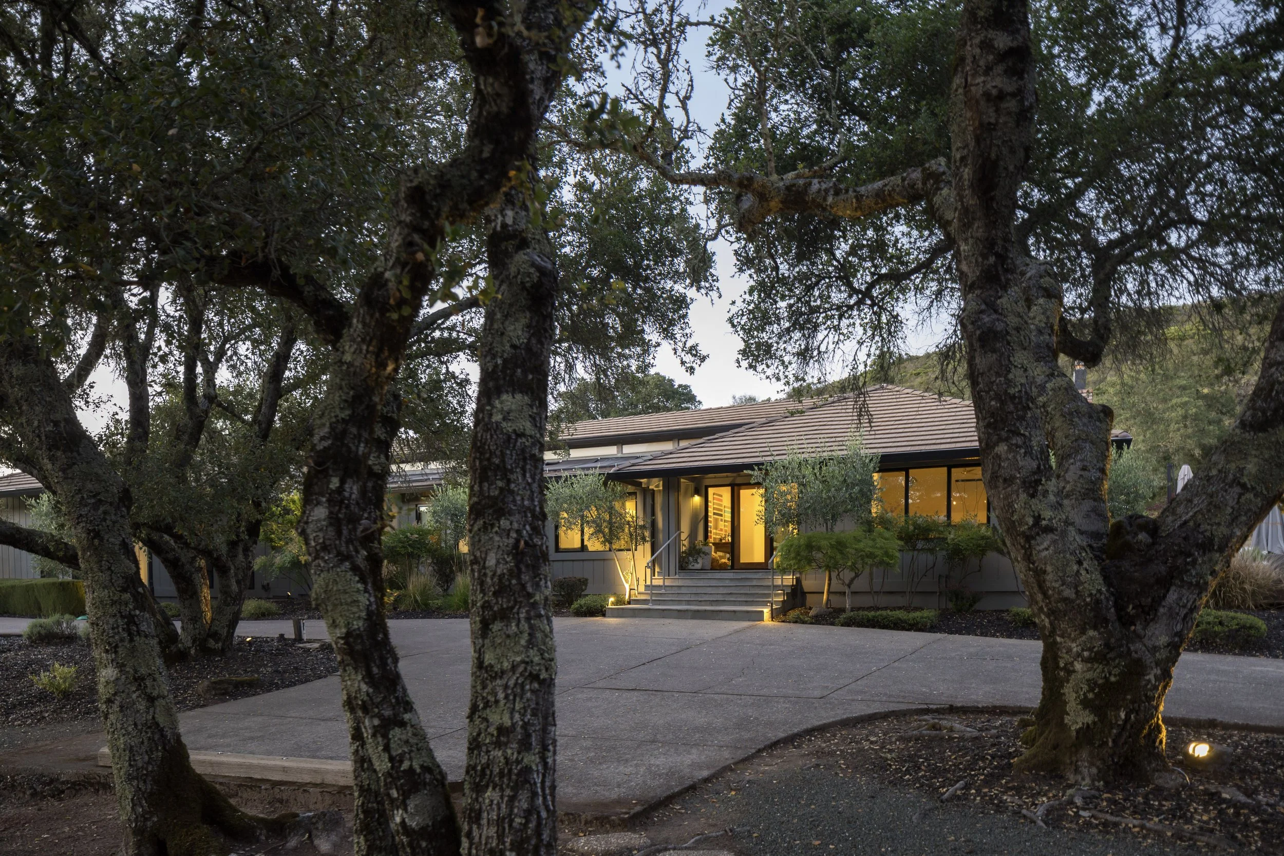 A house with large windows and a staircase leading to the entrance, partially obscured by several large trees with moss-covered branches in the front yard, during dusk.