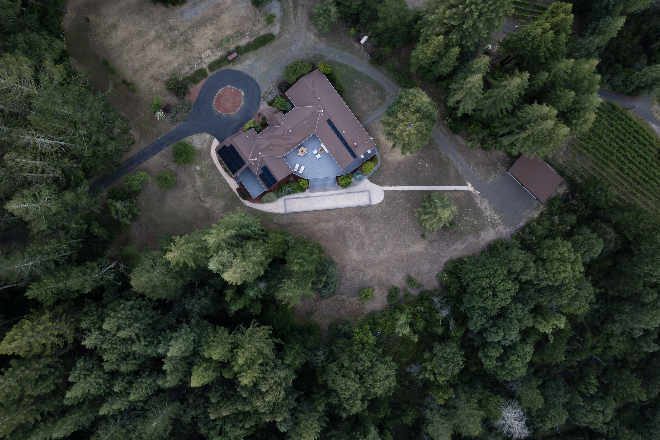 An aerial view of a house surrounded by trees with a winding driveway and a small outbuilding in the backyard.