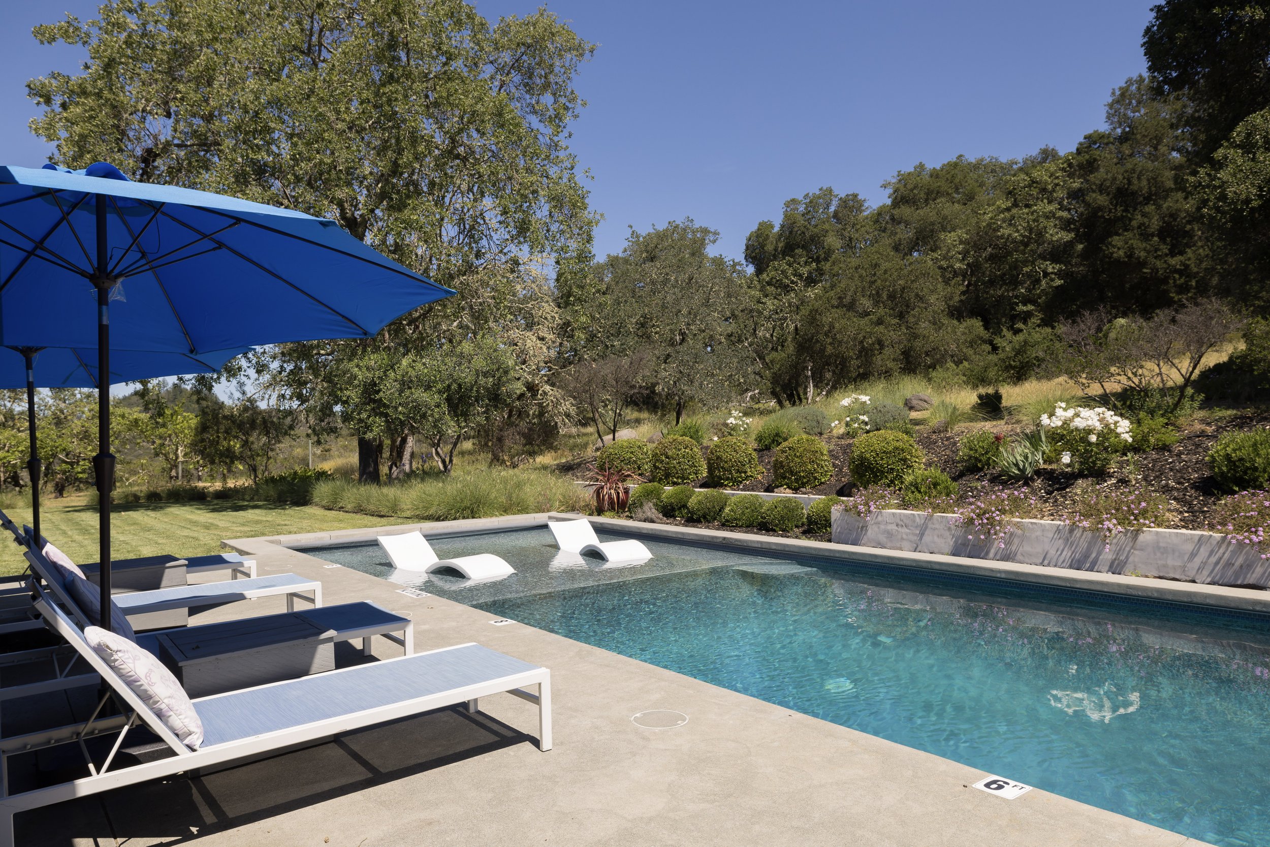 Swimming pool with lounge chairs and a blue parasol, surrounded by greenery and trees under a clear blue sky.