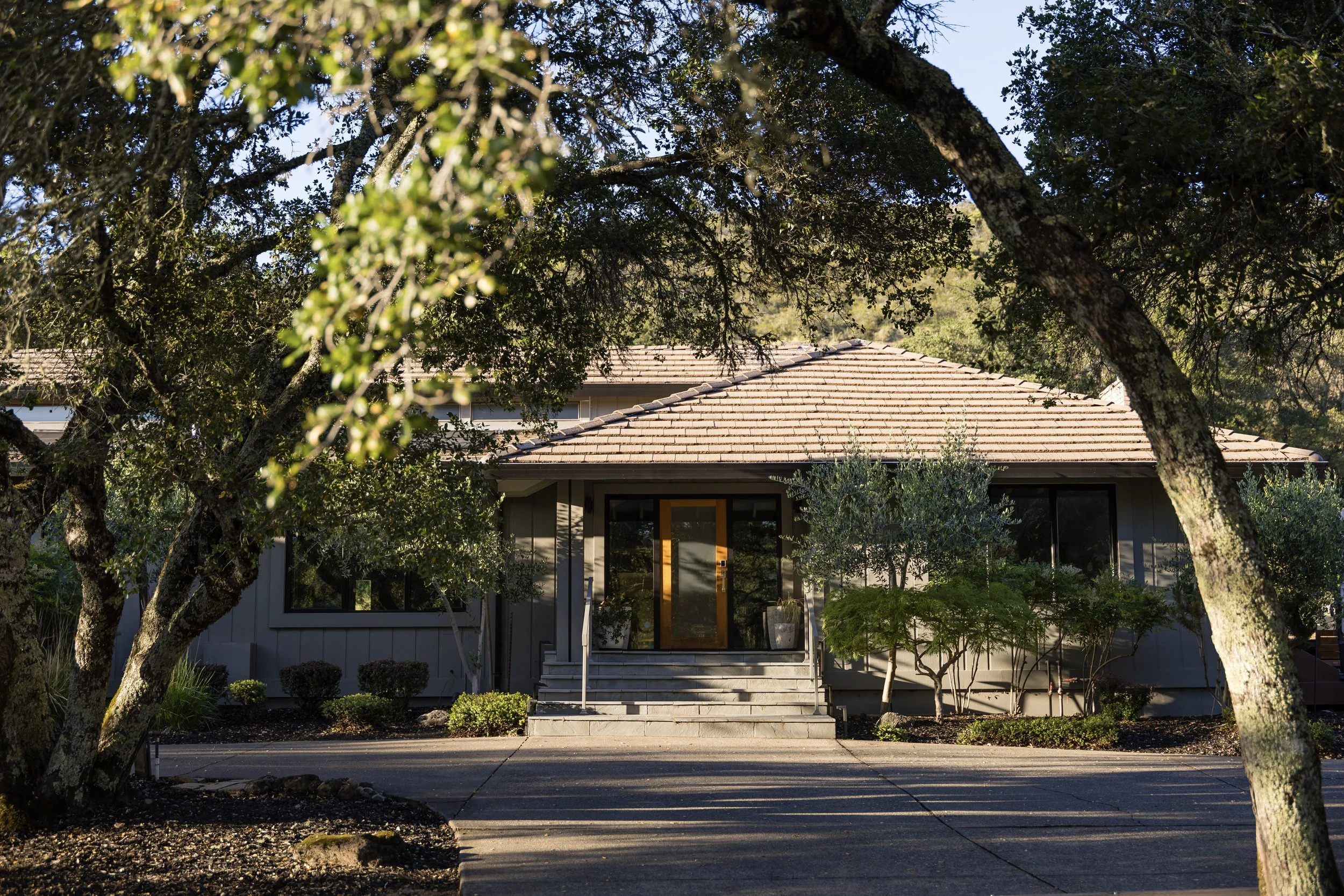 A house with a front porch surrounded by trees and plants, seen through tree branches and leaves, with stairs leading to the door.