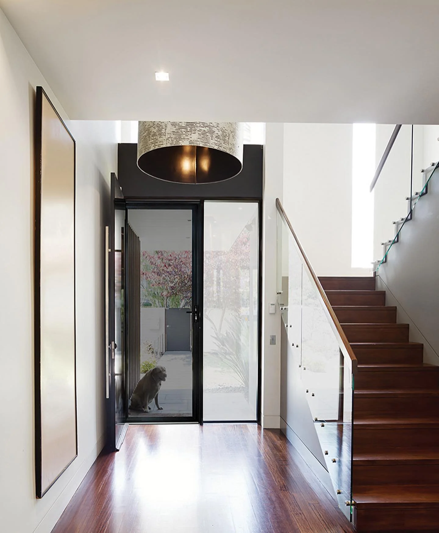 PrivacyGuard restricted vision mesh providing privacy and security for front door