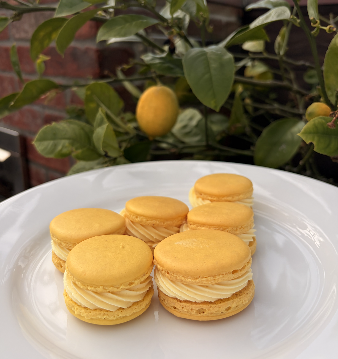 French Macarons (6 Pack)