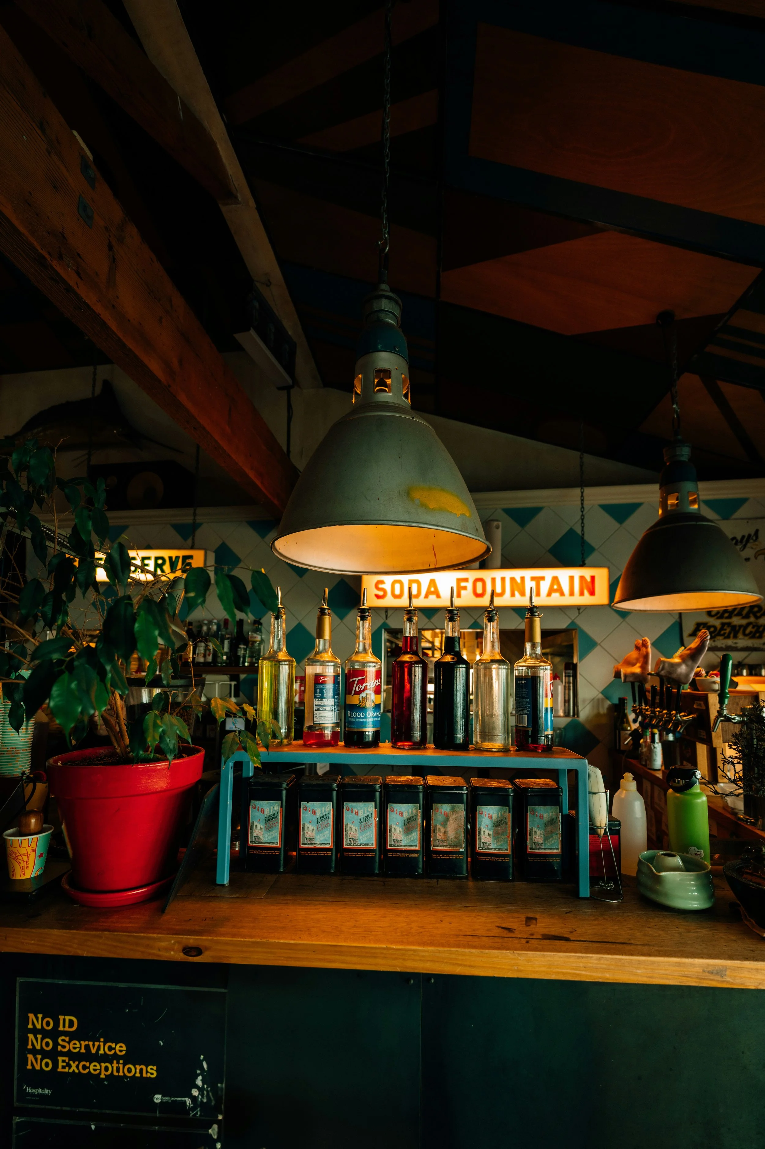 Inside a restaurant or bar with hanging industrial-style pendant lights, a sign reading 'Soda Fountain,' bottles, and various items on a shelf, including a large potted plant, with a dark ceiling and textured wall.