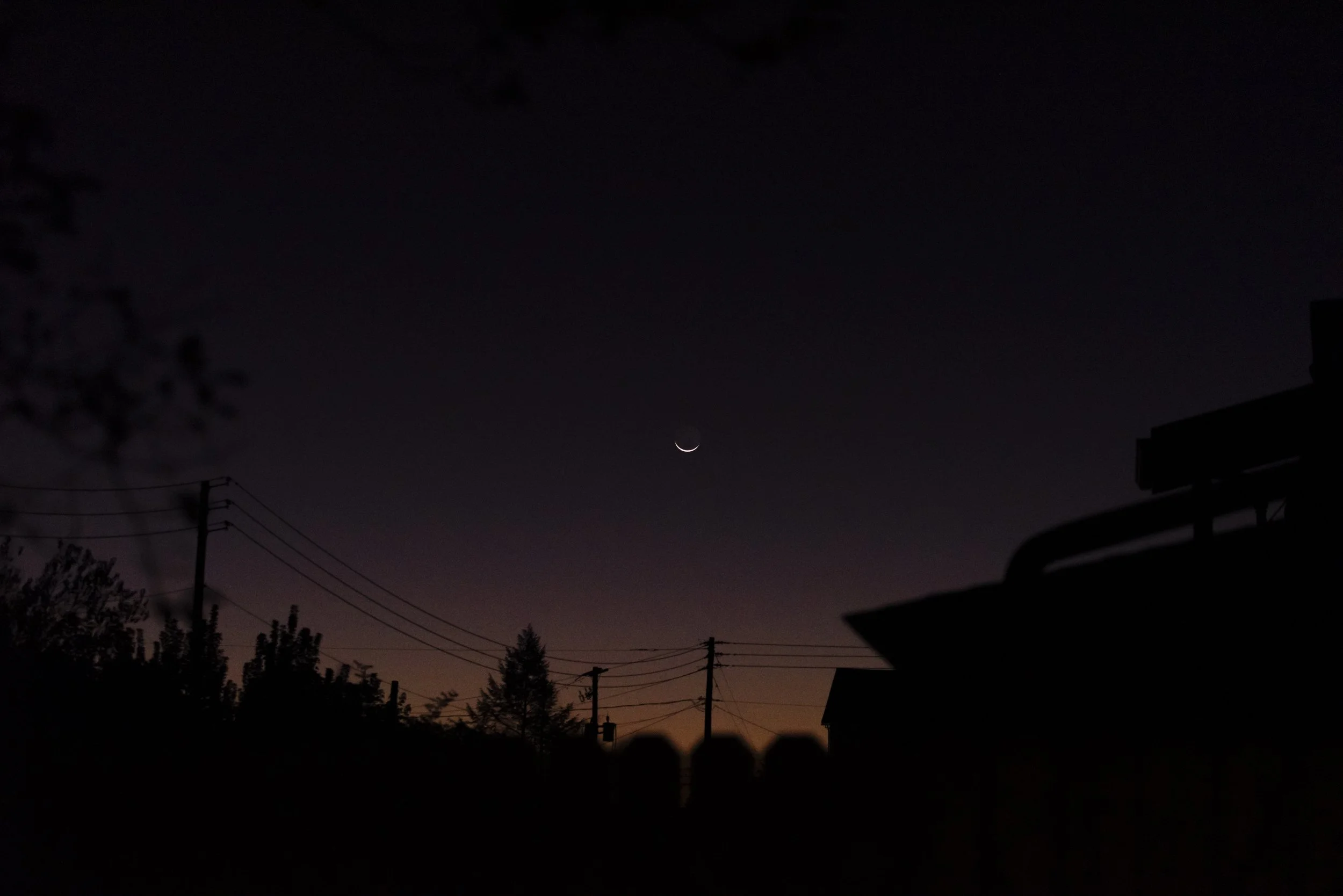 Night sky with a crescent moon and silhouetted trees, power lines, and rooftops in the foreground.
