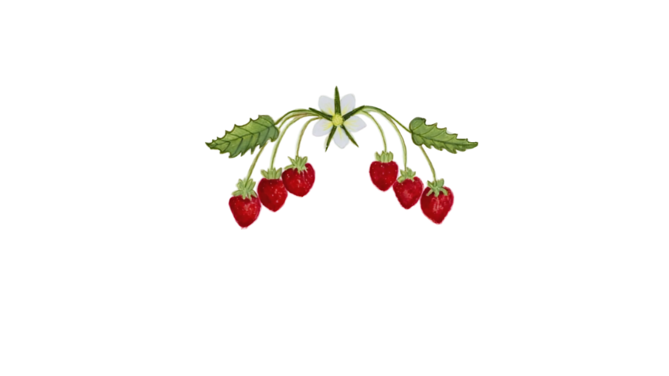 A branch of strawberry plant with five red strawberries, green leaves, and a white flower with a yellow center.