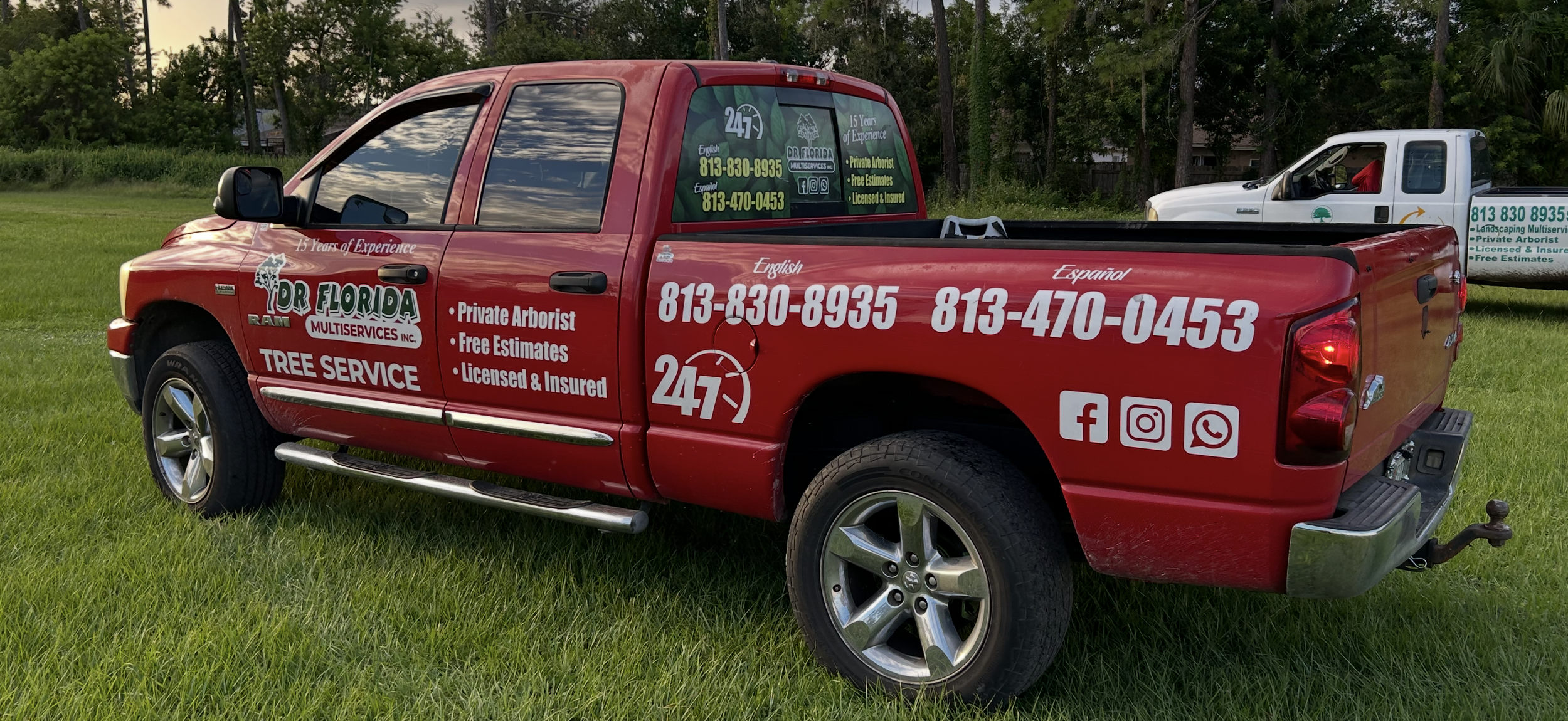 Red pickup truck with advertising for Dr. Florida Multiservices, offering tree service, private arborist, free estimates, licensed and insured, with contact phone numbers, social media icons, and company logos, parked on grass near other service vehicles.