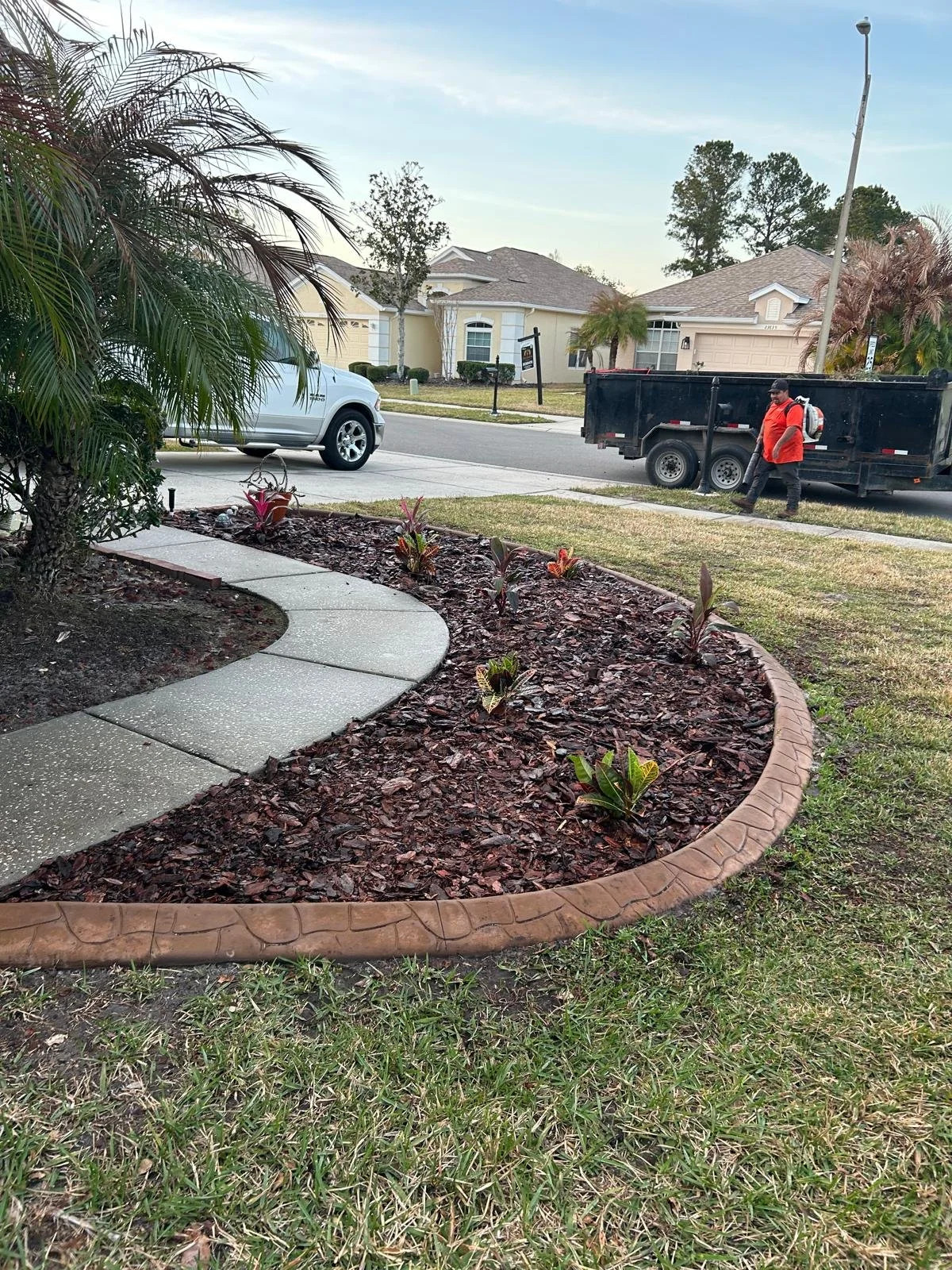 Arborist Projects