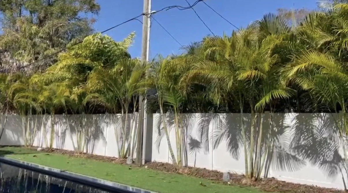 A white fence with palm trees casting shadows on it, next to a grass area with a pool in the foreground, and power lines visible overhead against a bright blue sky.