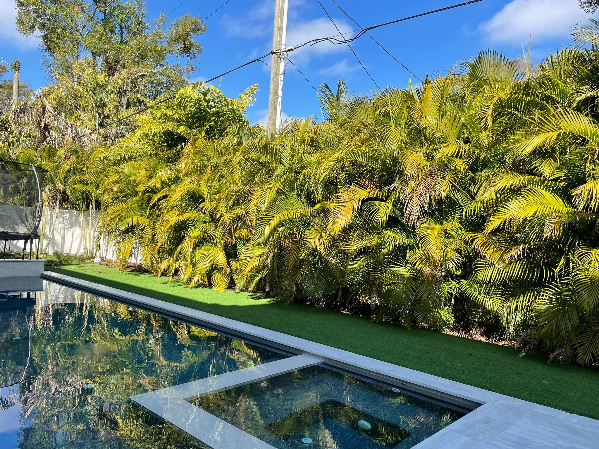 View of a backyard with a pool, green grass, and dense trees and bushes against a bright blue sky with some clouds.