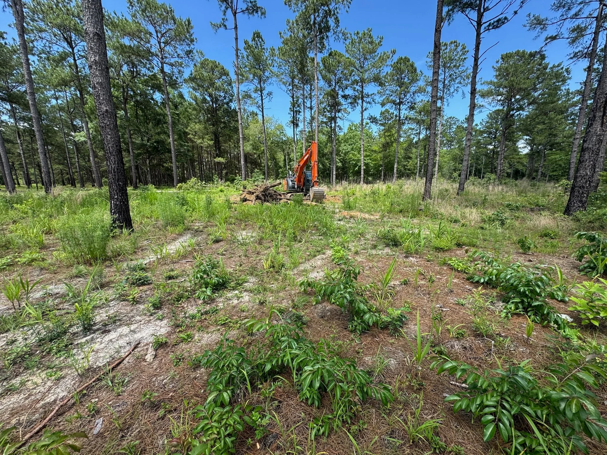 Land Management