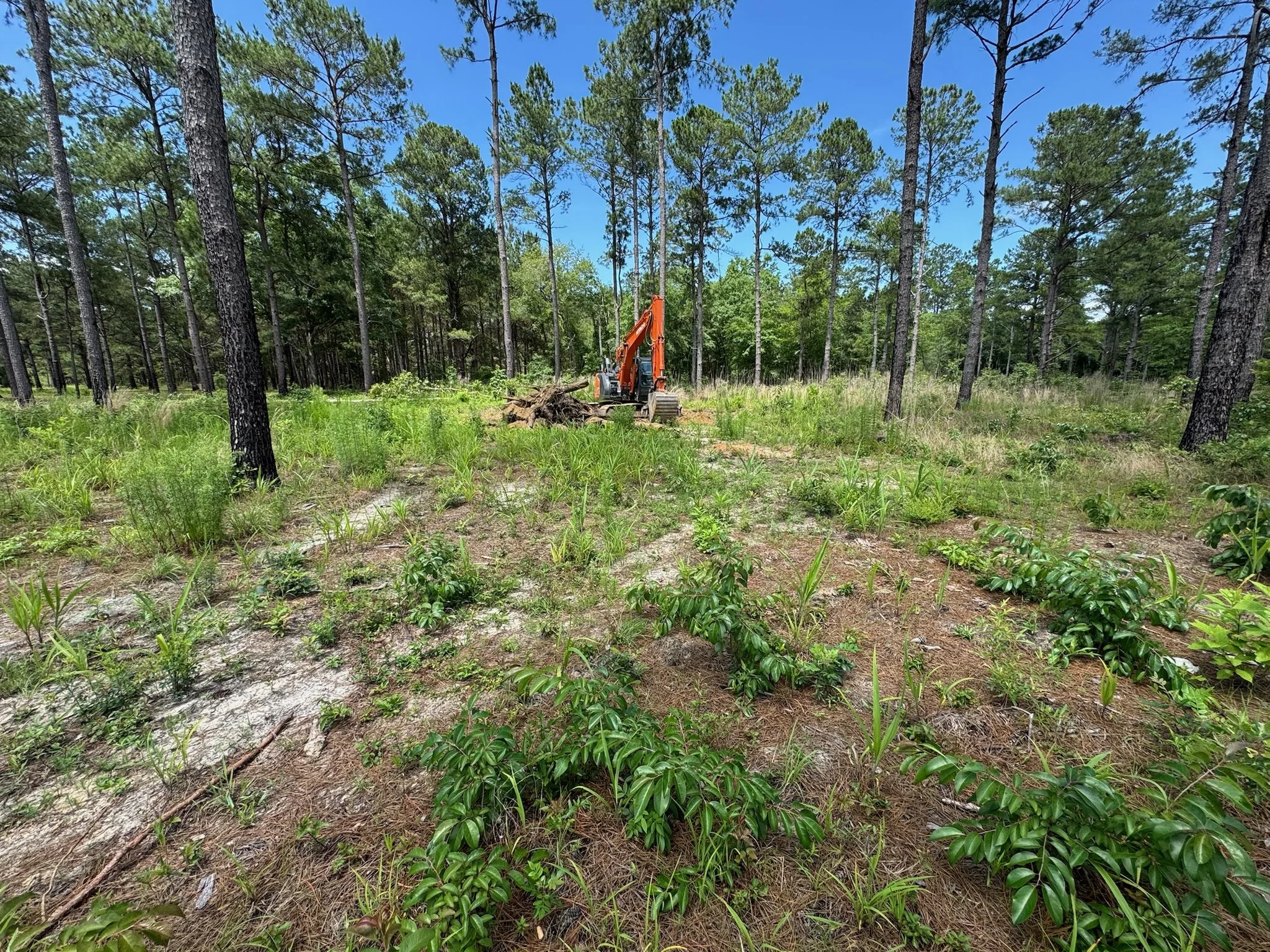Land Management