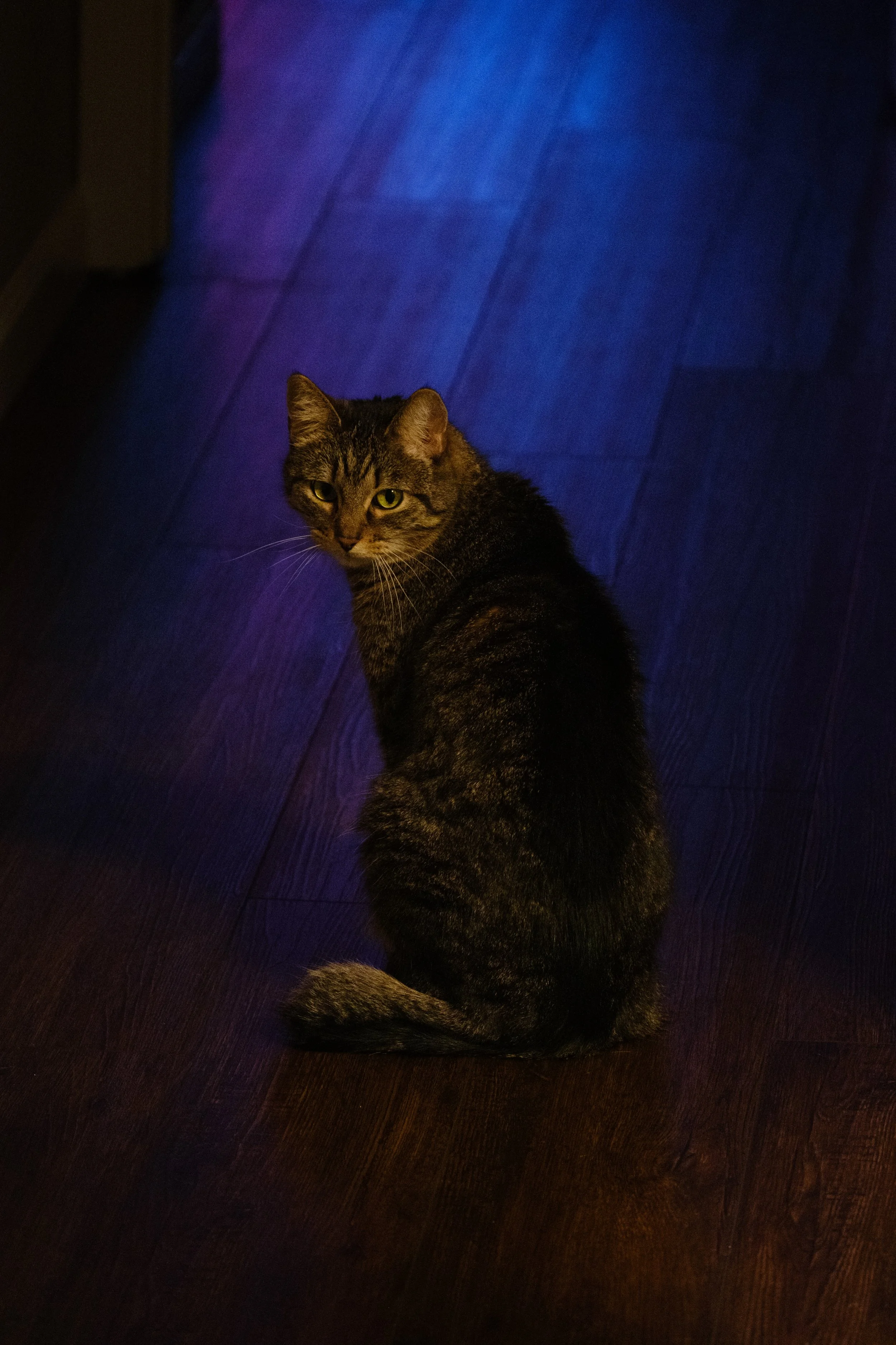 DSCF2542.jpg