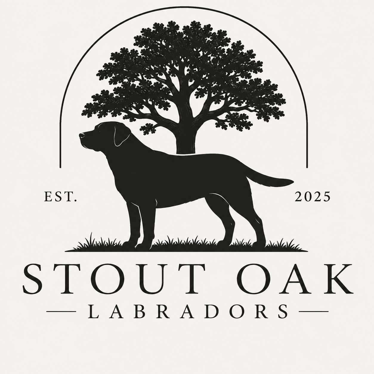 Stout Oak Labradors