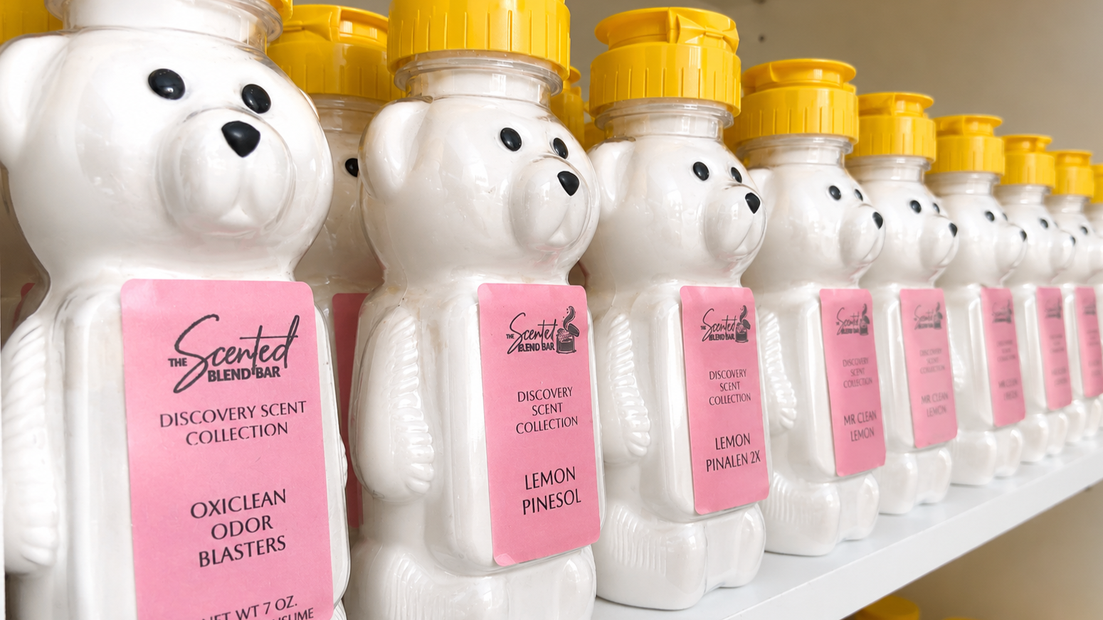 POWDER+BEARS.png