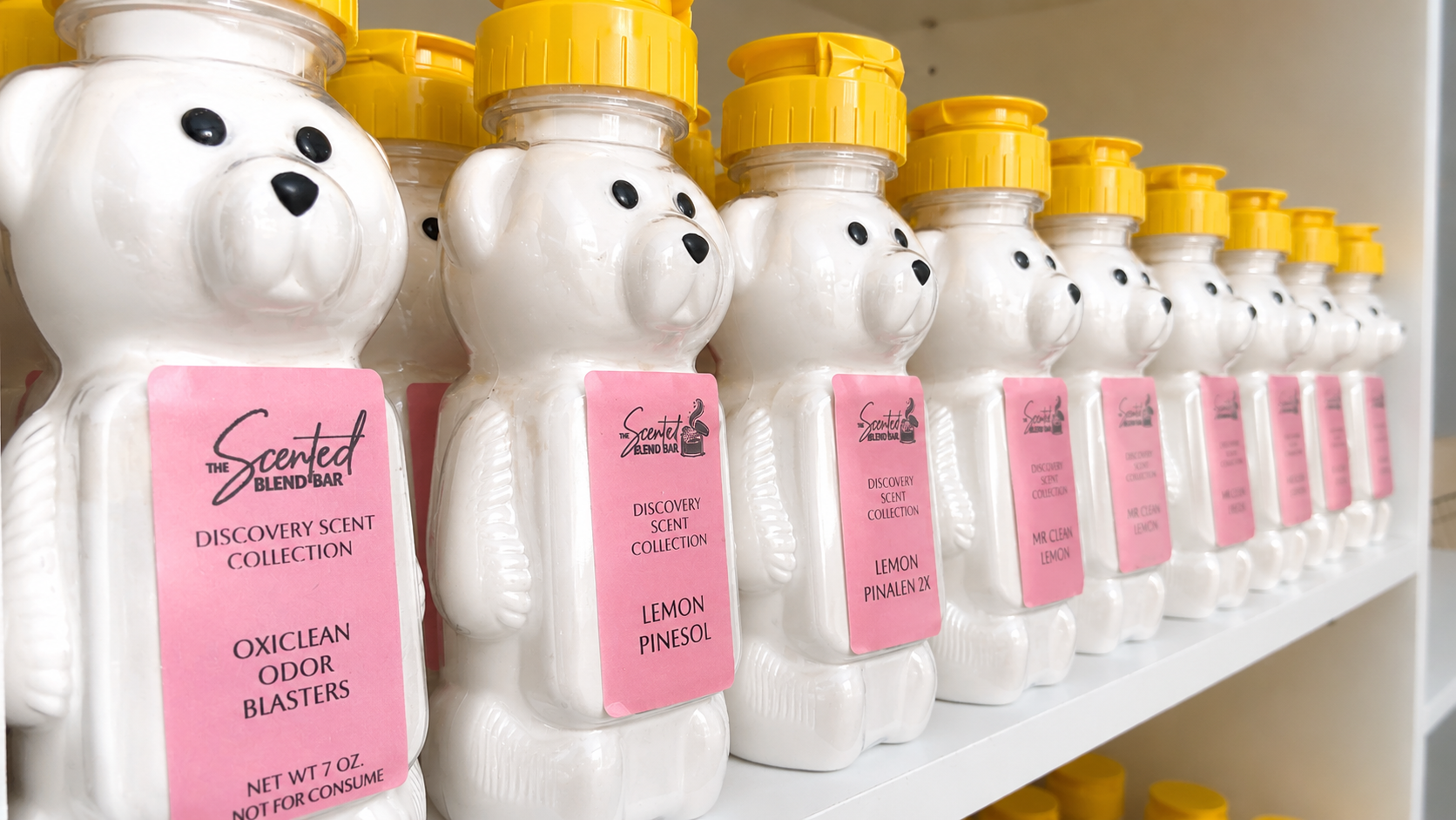 POWDER BEARS.png
