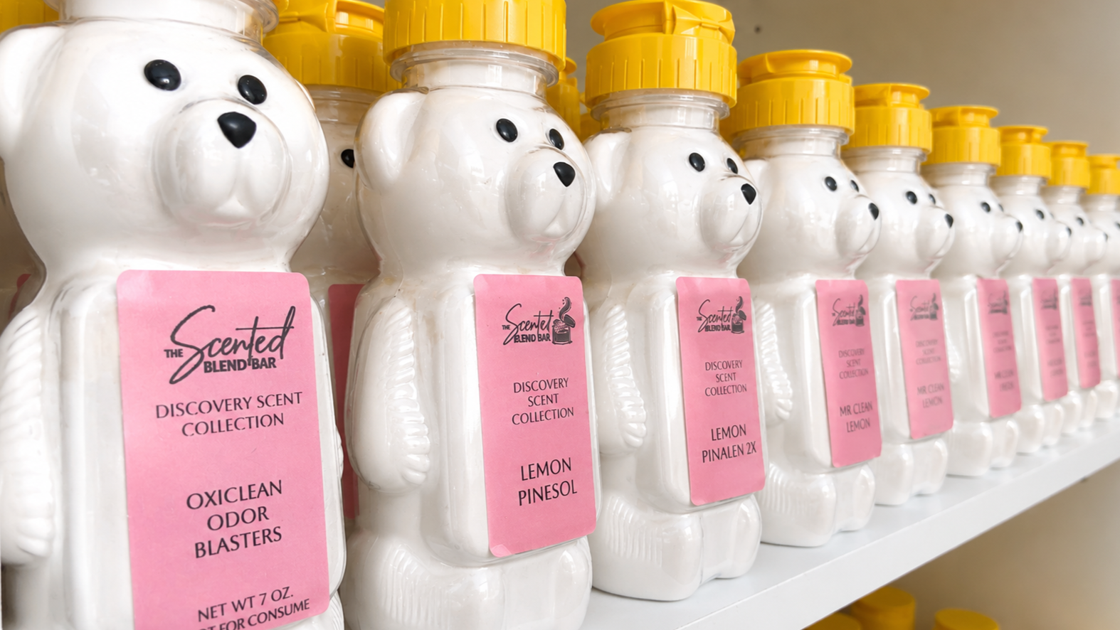 POWDER+BEARS.png