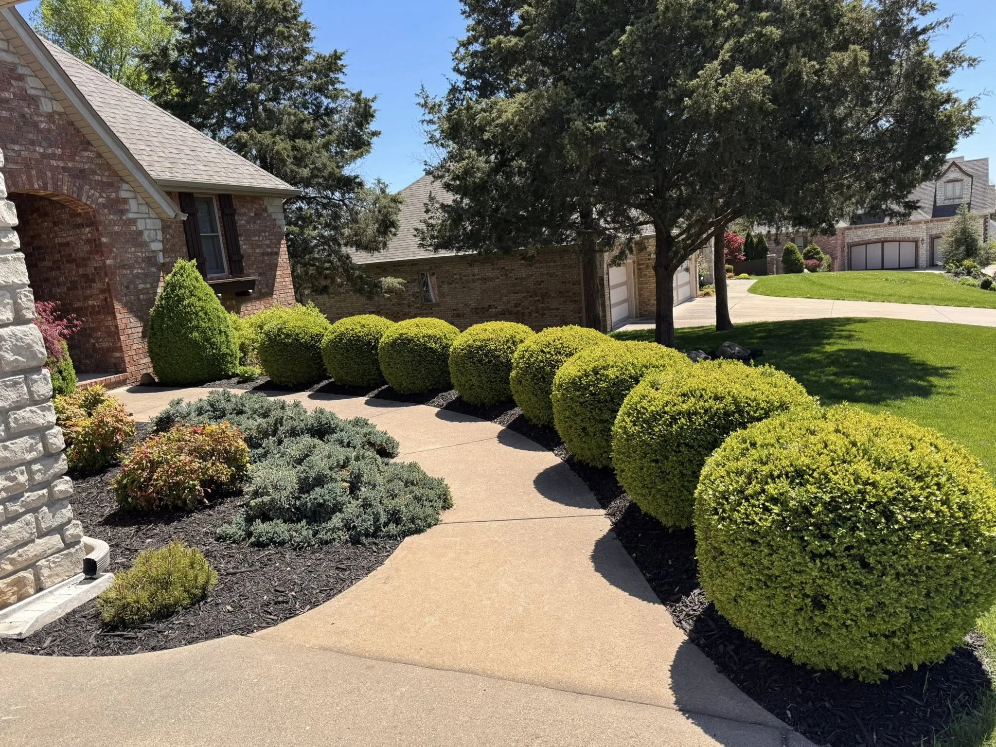 A residential front yard with a sidewalk lined by neatly trimmed bushes, a large tree providing shade, and brick houses with garages in the background. The sky is clear and blue.