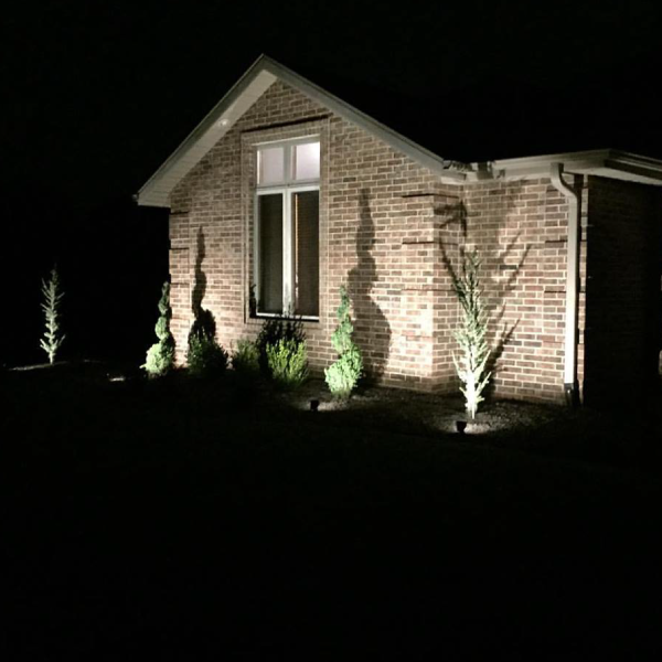 Nighttime exterior of a brick house with a lit window and illuminated small trees and shrubs in the front yard.