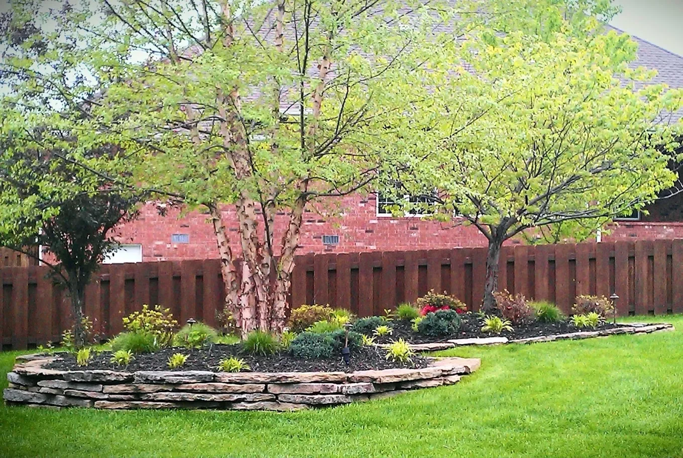 A backyard garden with two trees, a stone-edged flower bed with small green plants and bushes, a green lawn, and a wooden fence in front of a brick house.