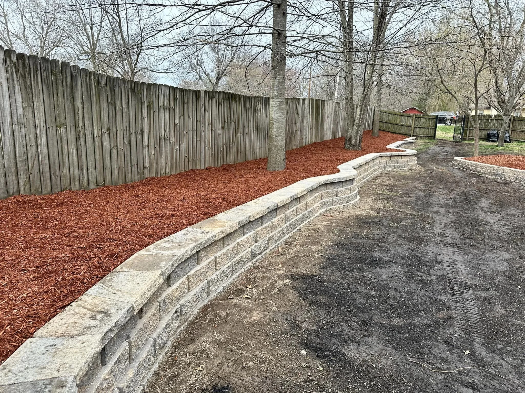 A backyard with a wooden fence, red mulch, and a stone retaining wall. There are several trees, some with bare branches, and a few trees with budding leaves. In the background, there is a black trash bag and a vehicle parked near a red shed.