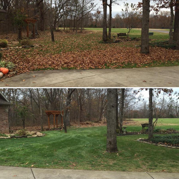 A side-by-side comparison of a yard before and after landscaping, showing a transition from a leaf-covered yard to a lush, green lawn with a brick house, trees, and outdoor furniture.