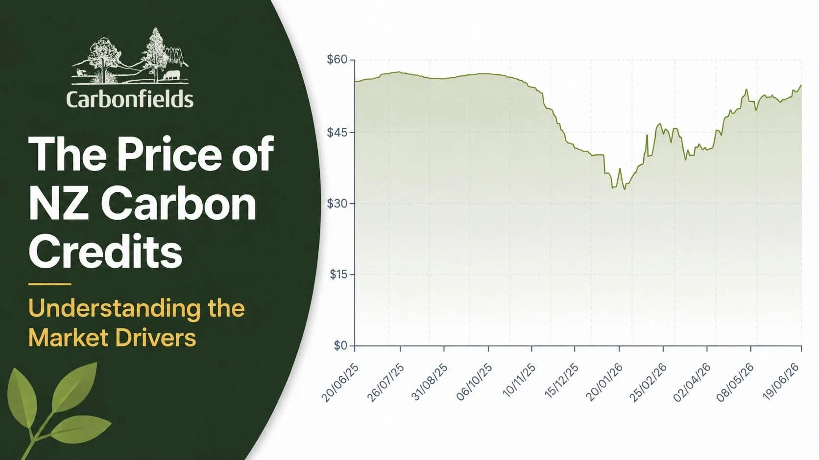 The Price of NZ Carbon Credits: How It Is Set and the Current Outlook&nbsp;
