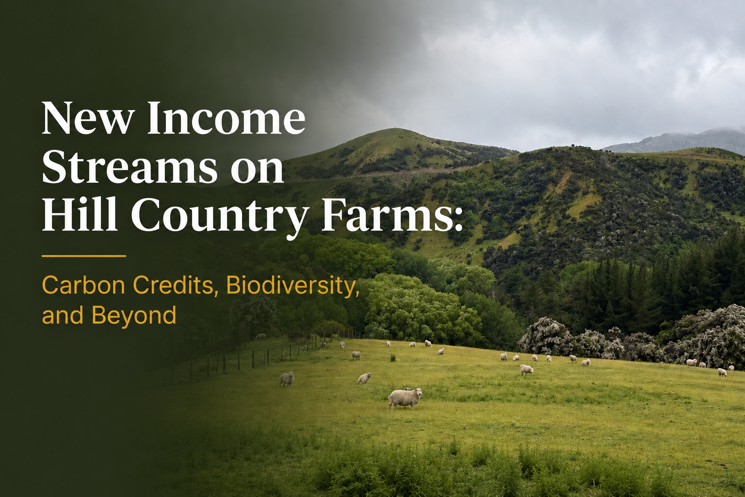 New Income Streams on Hill Country Farms: Carbon Credits, Biodiversity, and Beyond&nbsp;