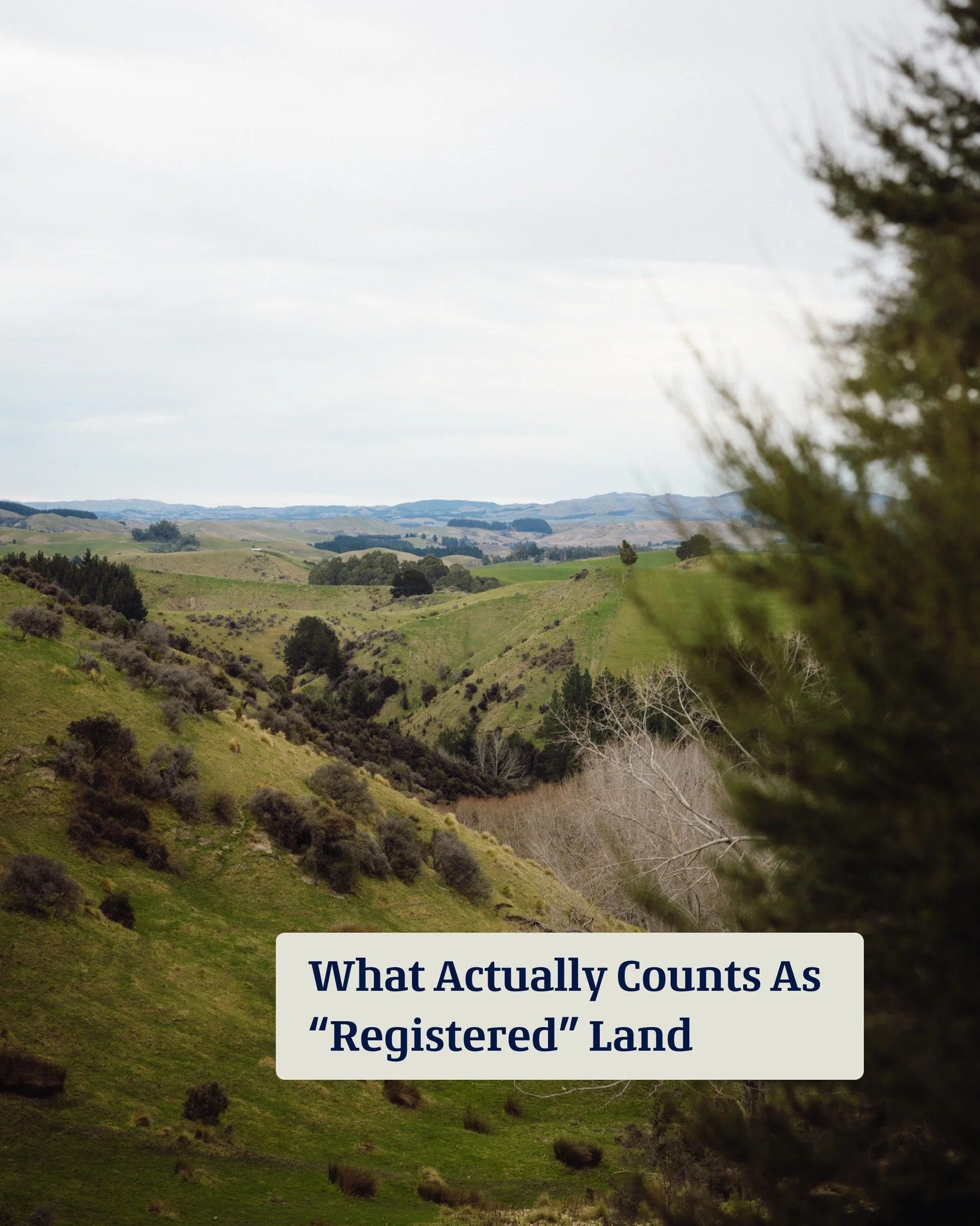 The scrub and native regeneration growing on your slopes, gullies, and hill country counts, and there is usually a lot more land eligible than most farmers think. Even if you're not sure, get a free assessment, and we'll tell you what your land could