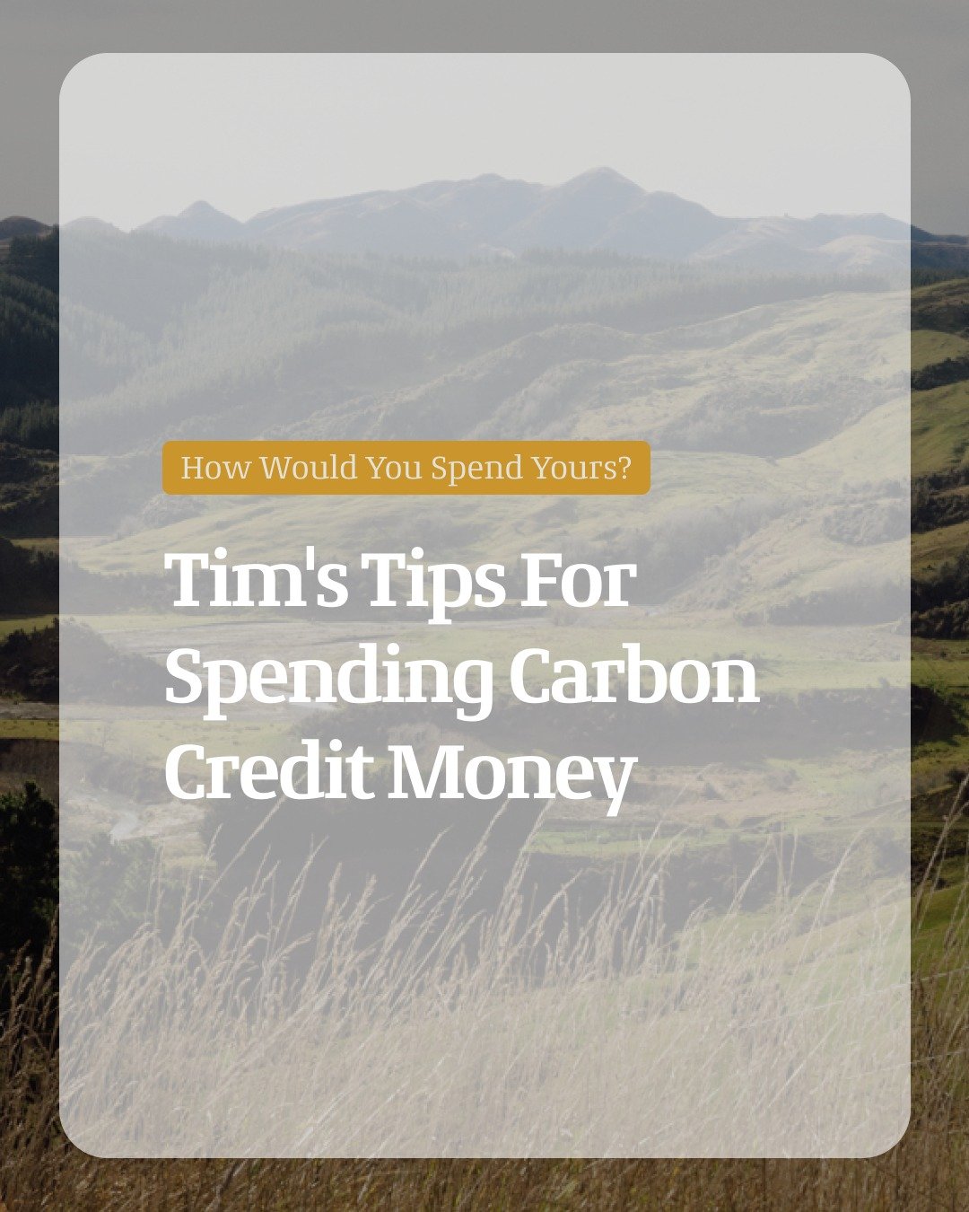 Tim's carbon income is going toward doing up the bathroom and laundry, money he says he probably wouldn't have had otherwise. What would you do with it?