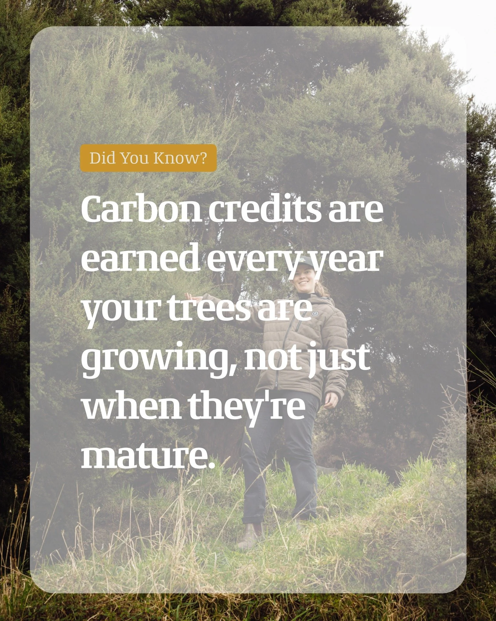 Carbon credits are earned every year your trees are growing, not just when they're mature, it's ongoing income, not a one-off payment. 

Get in touch with the team for your free assessment to find out what your land could be earning you, year after y