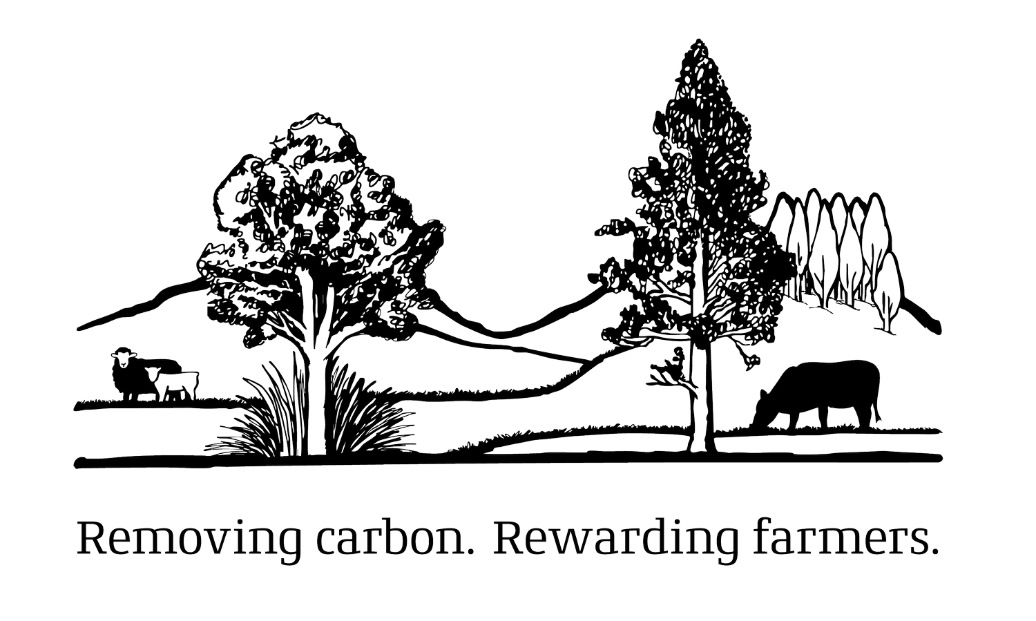 Carbonfields - Monetise your on-farm scrub, bush and plantations.