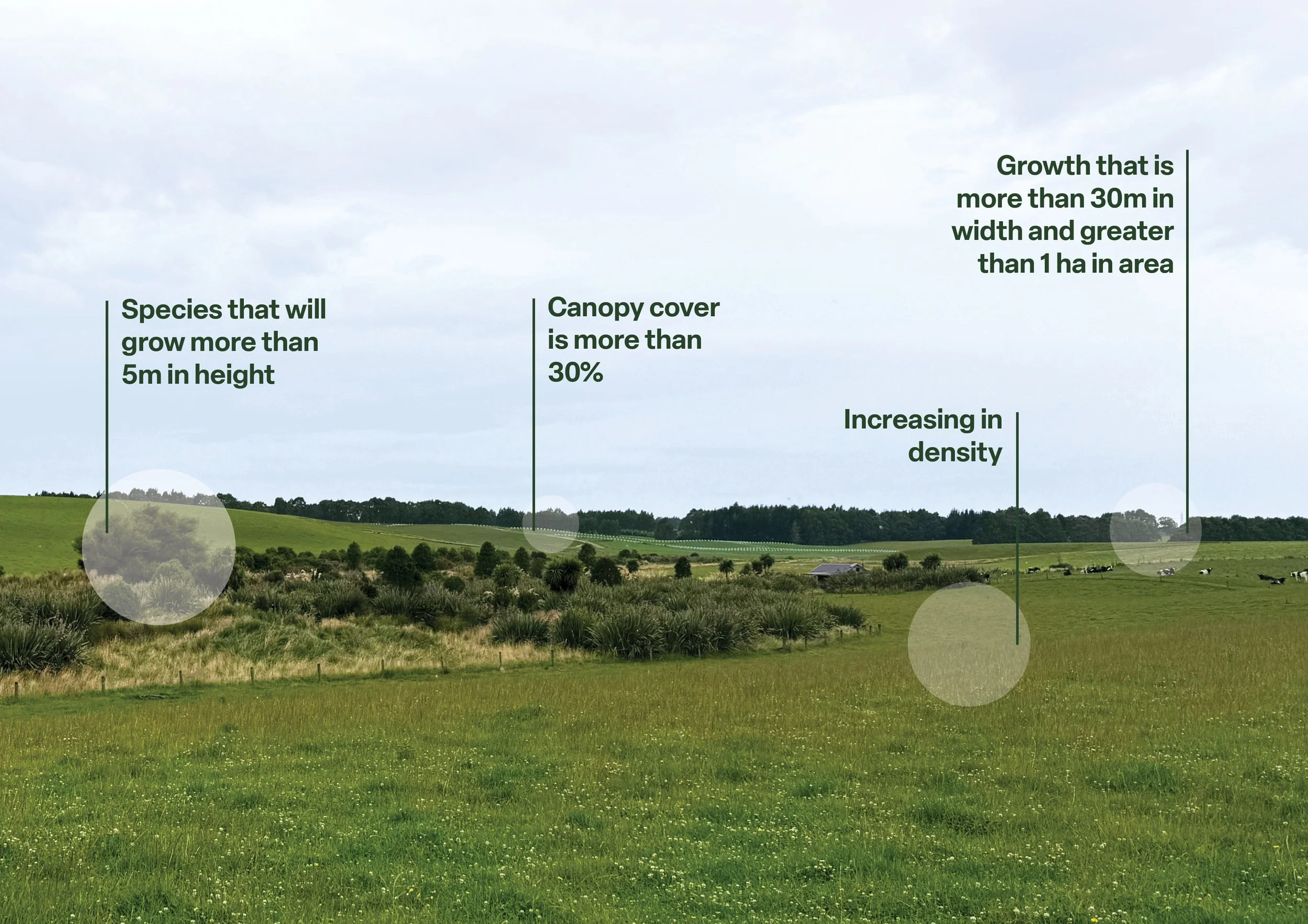 A wide open green grassy field with small trees and shrubs, rolling hills in the background, and a partly cloudy sky overhead. Overlayed text provides environmental information about plant growth and canopy cover.
