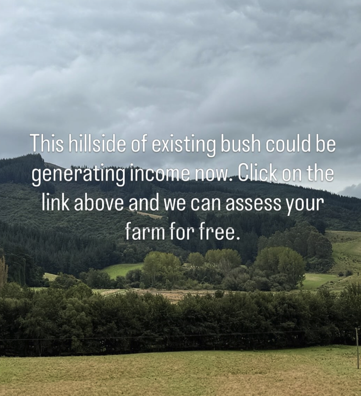 Scenic view of rolling green hills and mountains under a cloudy sky, with overlaid text about assessing a farm for income.