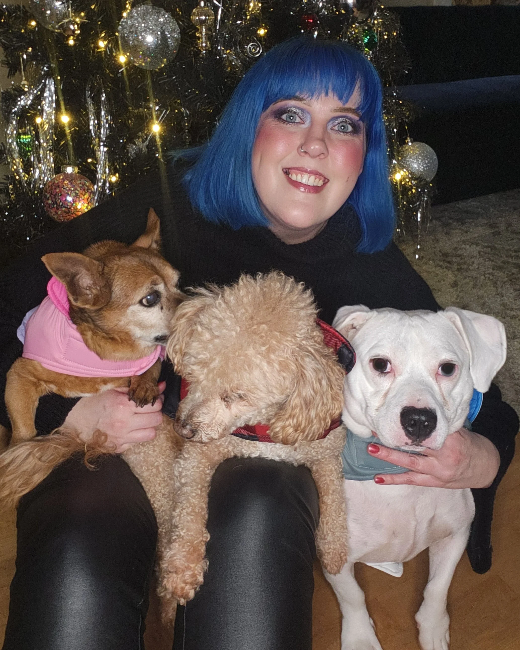 A woman with bright blue hair smiling while holding three dogs, one with brown and white fur wearing a pink jacket, another with curly light brown fur, and a large white dog with a black nose and dark eyes, in front of a decorated Christmas tree.