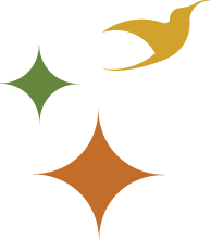 Green, gold, and brown star-shaped graphics on a black background