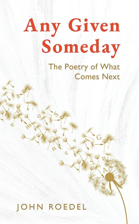 Book cover for "Any Given Someday" by John Roedel, featuring a dandelion seed head dispersing in the wind.