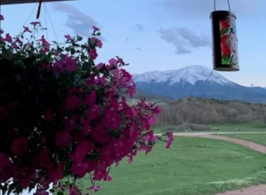 Pink flowers in foreground with snow-capped mountain and cloudy sky in background, and a hanging cylindrical decoration with a floral pattern.