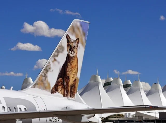 An airplane with a large photograph of a mountain lion on its vertical stabilizer, parked among other aircraft with white t-shape tail fins, under a partly cloudy blue sky.