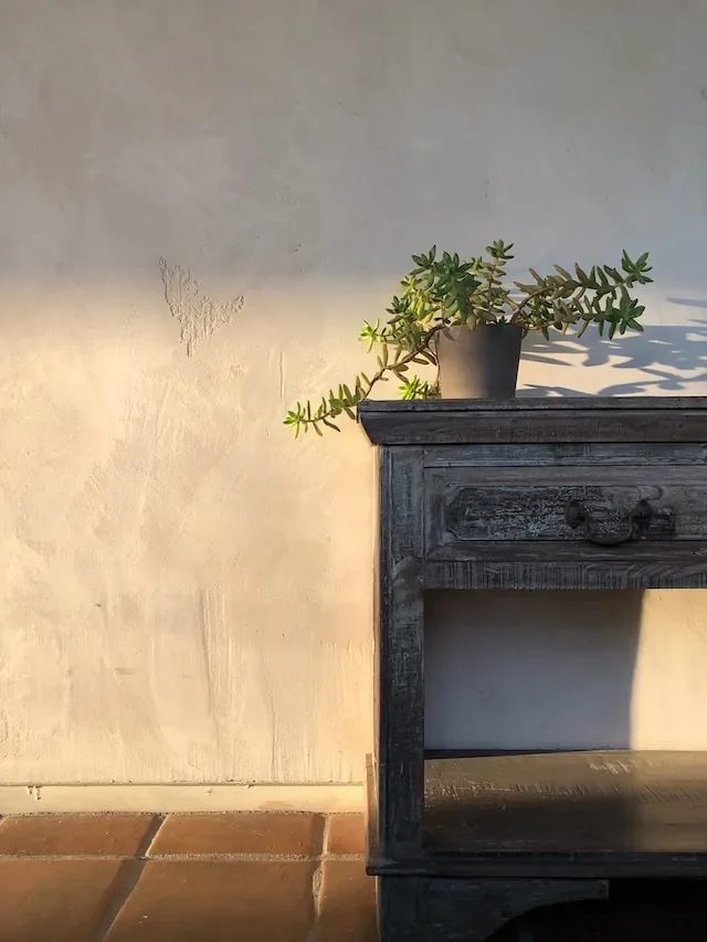 Potted succulent plant on top of a rustic wooden cabinet against a textured cream wall with shadows.