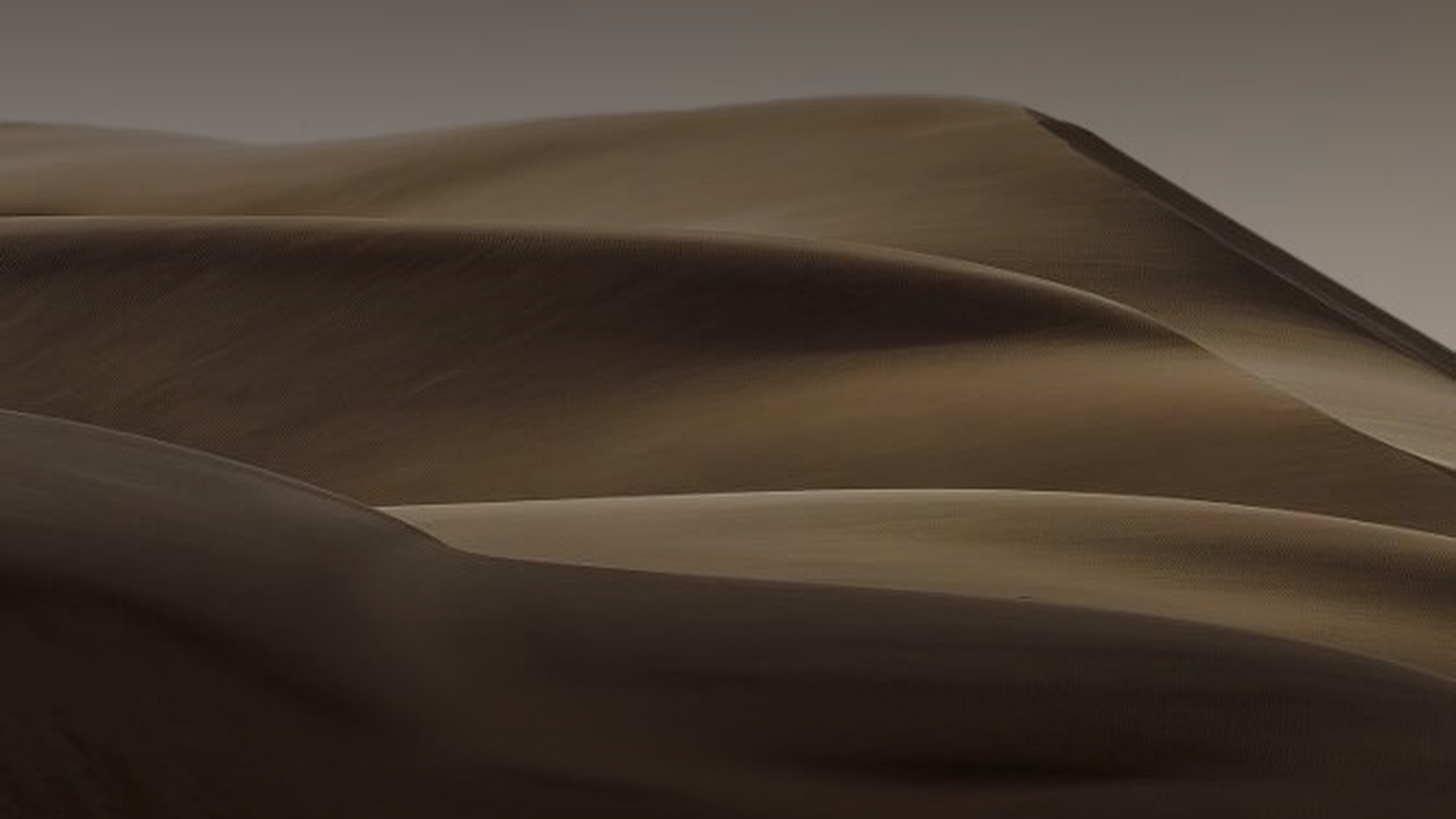 Close-up of smooth, flowing sand dunes in a desert with muted color tones.