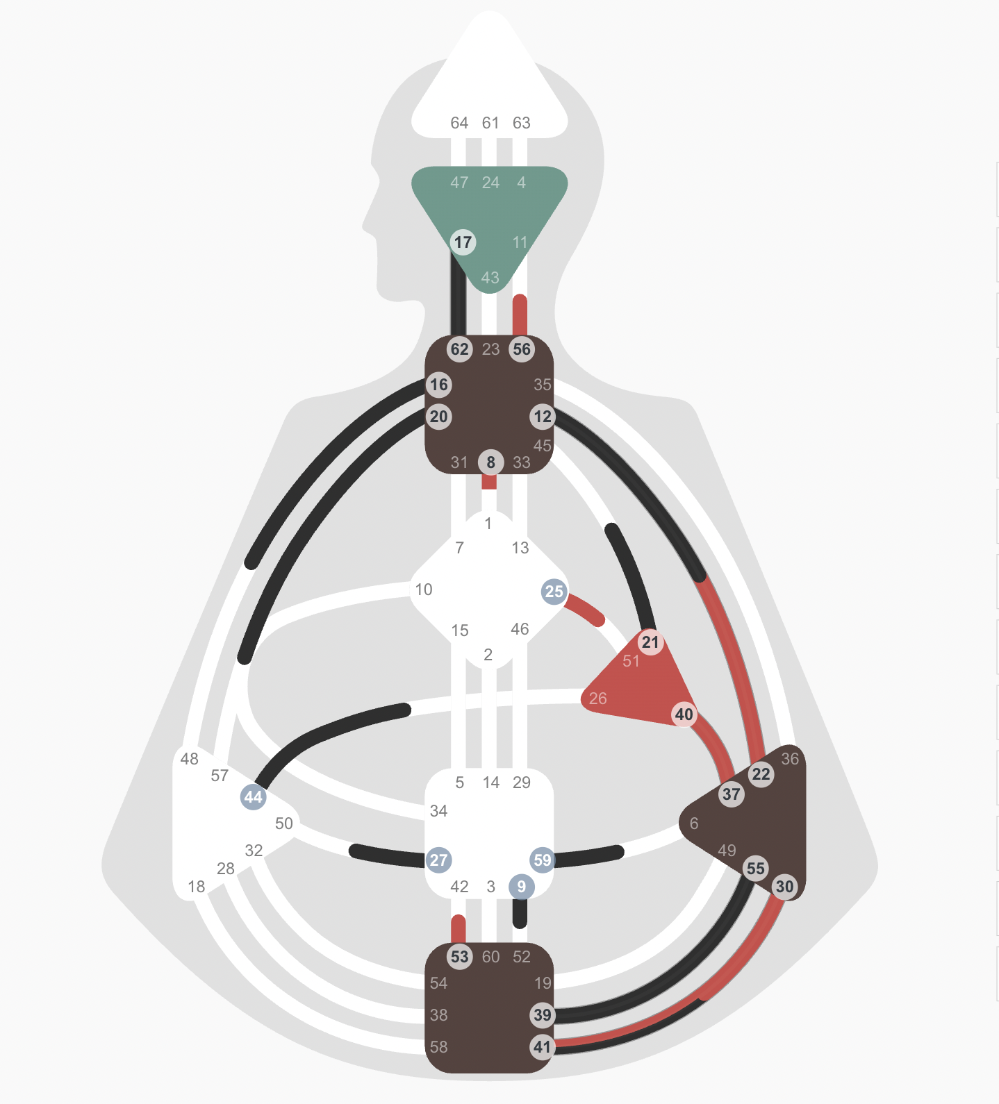 A detailed diagram of the human nervous system showing the brain, spinal cord, and peripheral nerves with labels.