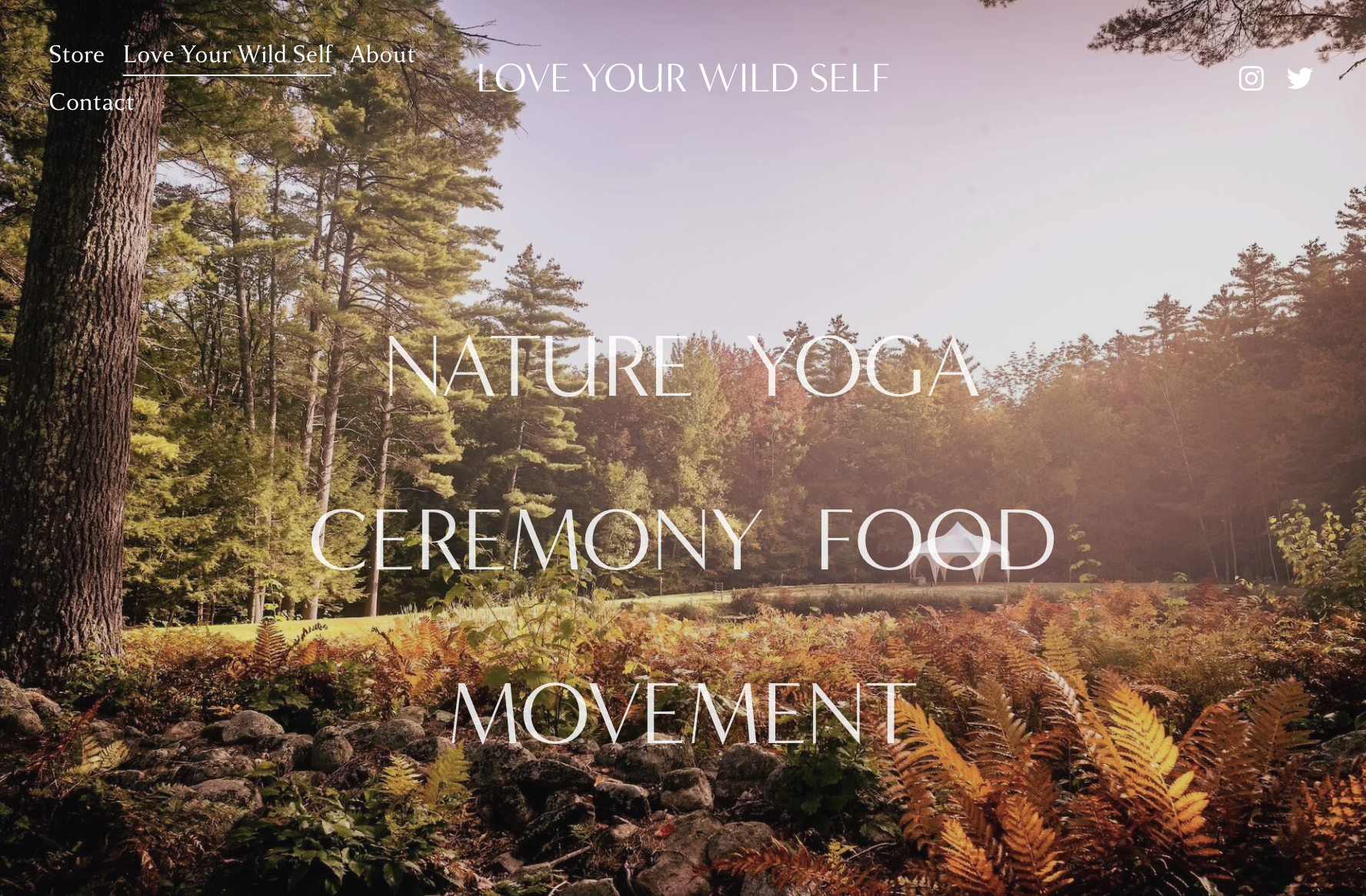 Website homepage for Love Your Wild Self yoga retreats. A serene outdoor scene of a wooded area with tall trees, ferns, and rocks in the foreground. The sky is partly cloudy with a soft glow of sunlight filtering through the trees.