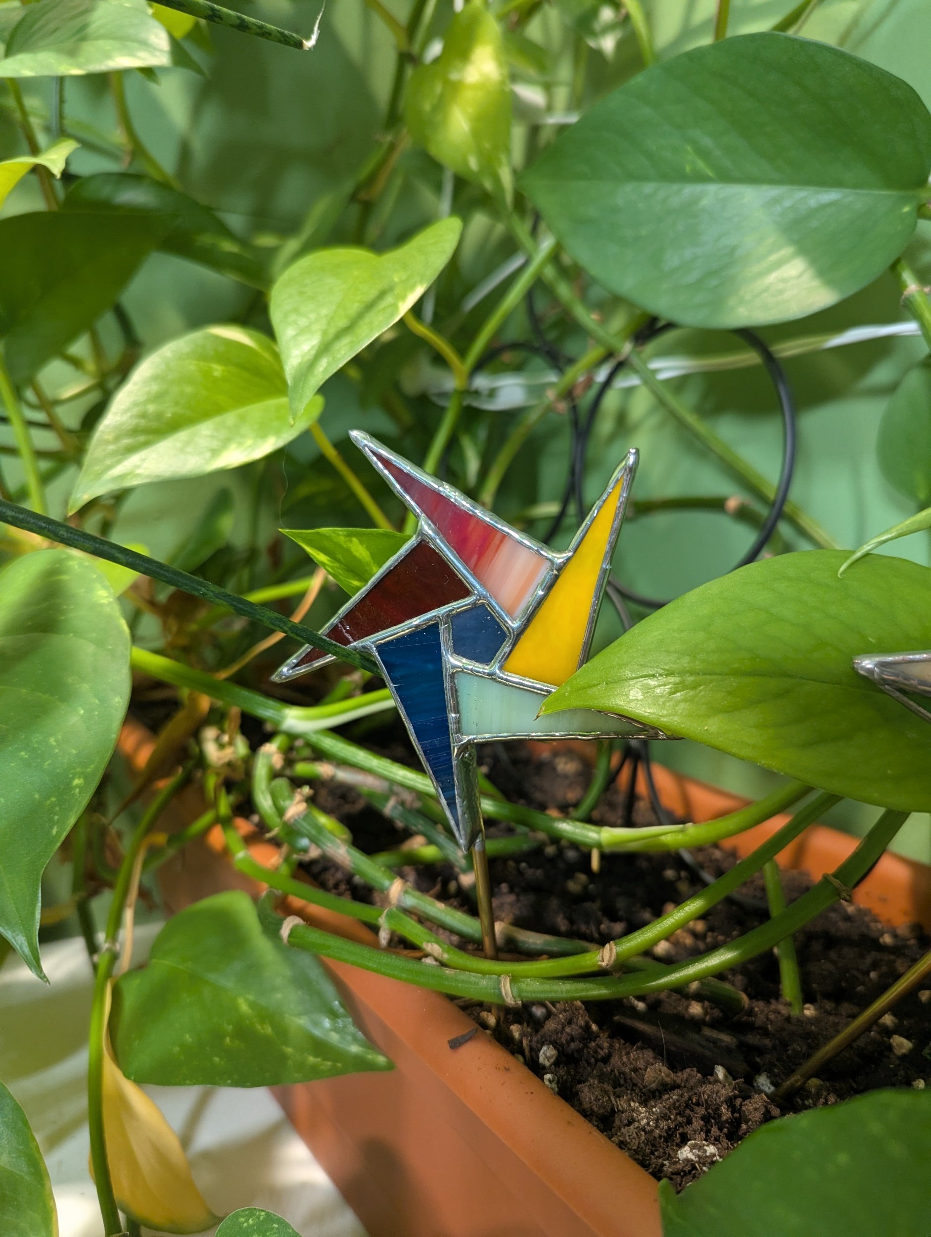 Star Plant Stakes