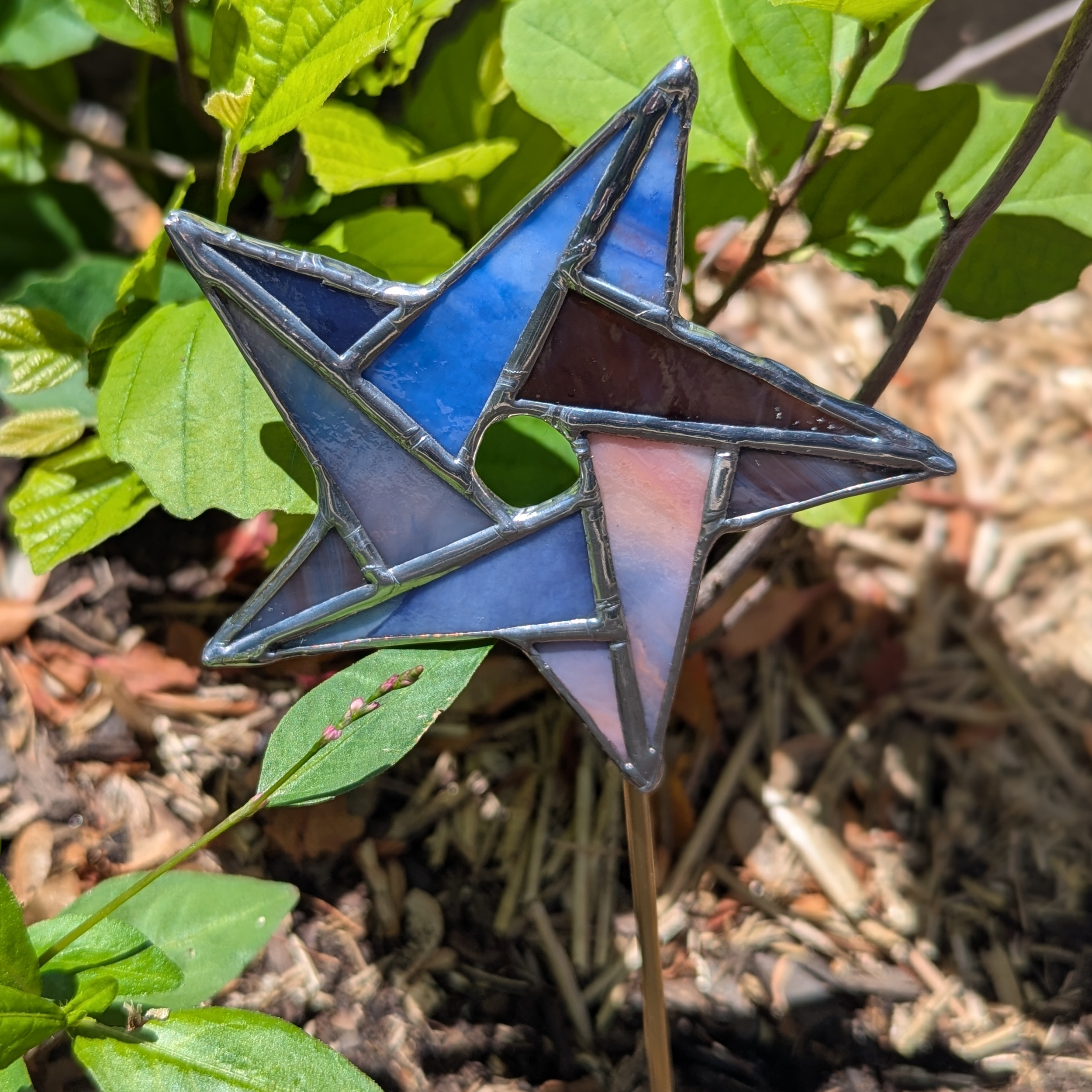 Star - Stake (2)