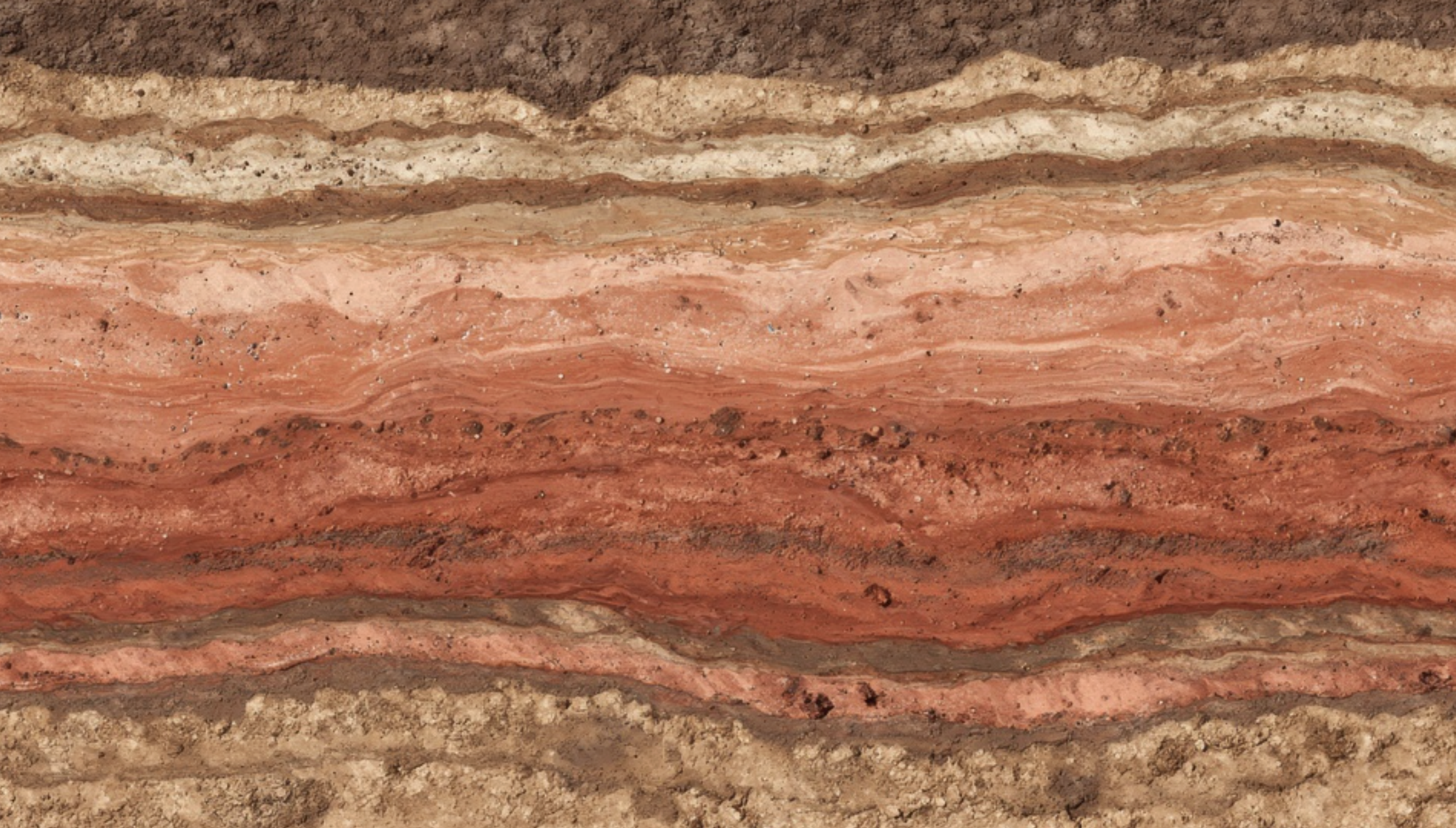 Close-up of layered sandstone rocks with various shades of brown, red, and beige.
