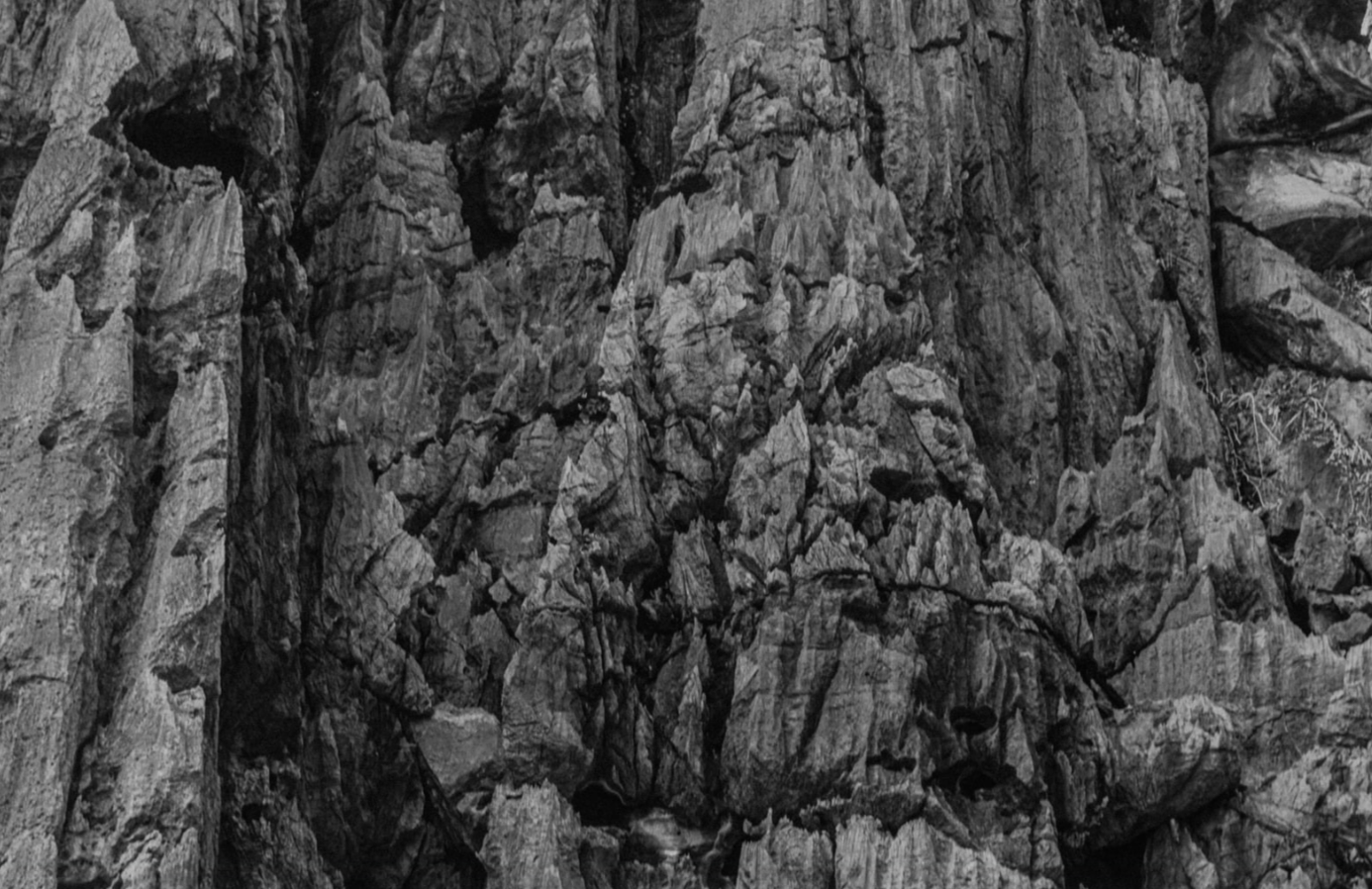 Close-up of a rocky surface, showing detailed texture and jagged formations.