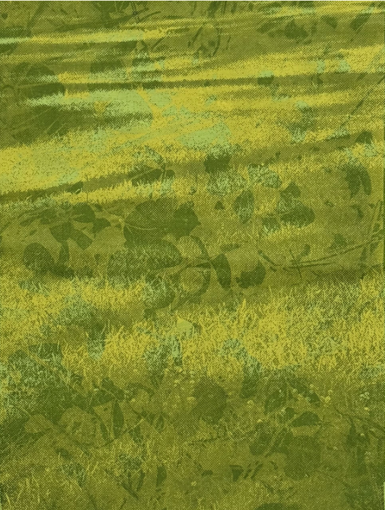 Elie Sample 5.png
