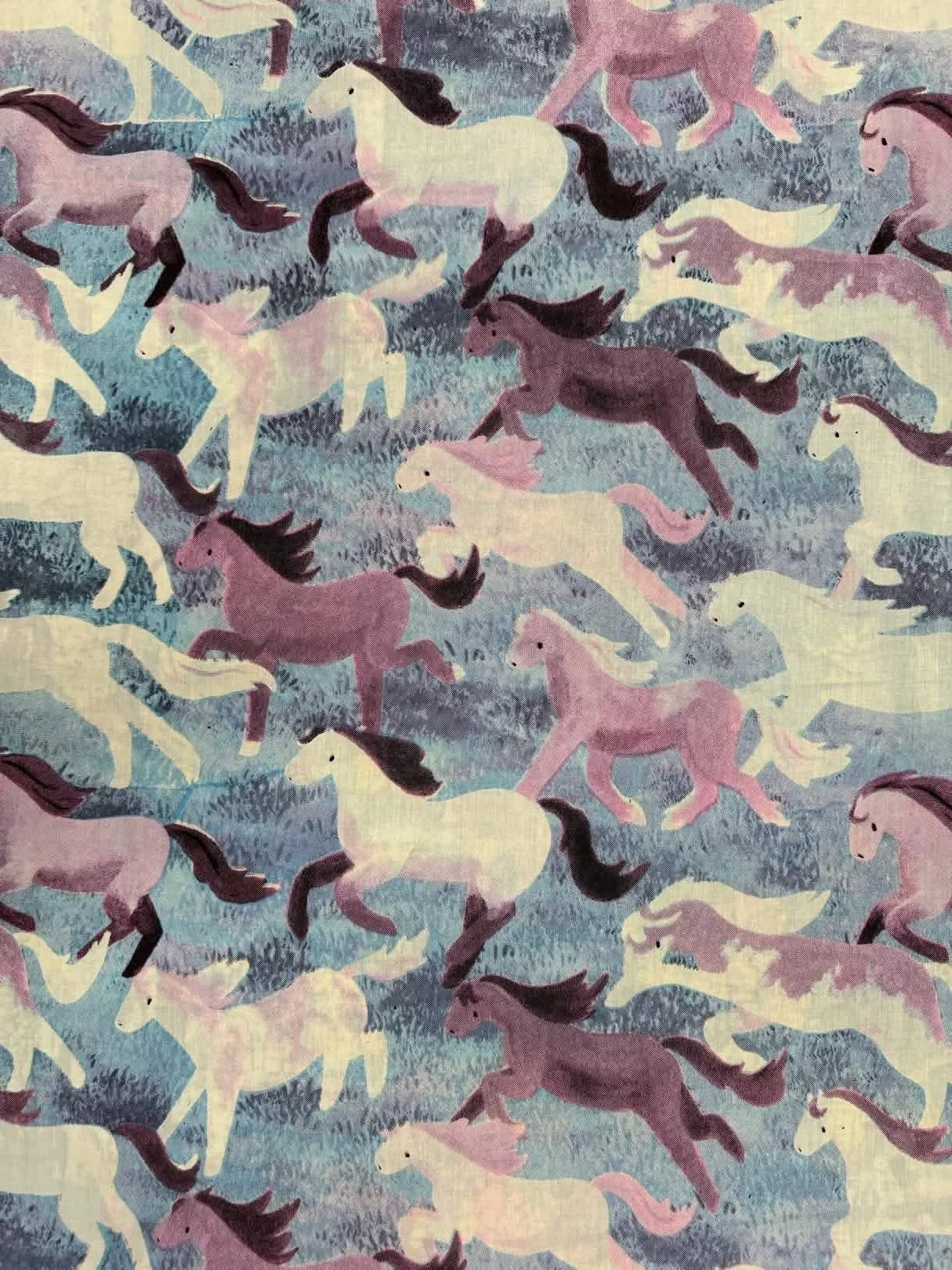 Year of the Horse
